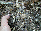 How to make mulch - Shredded mulch - Making and using ramila chipped wood