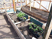 Greenhouse raised bed - Greenhouse grow boxes - Greenhouse planters