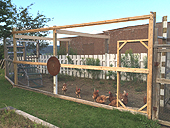 How to build a chicken run